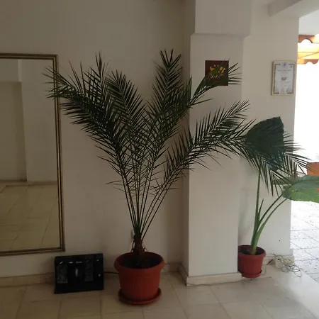 Pensionat Gloria House Nesebar